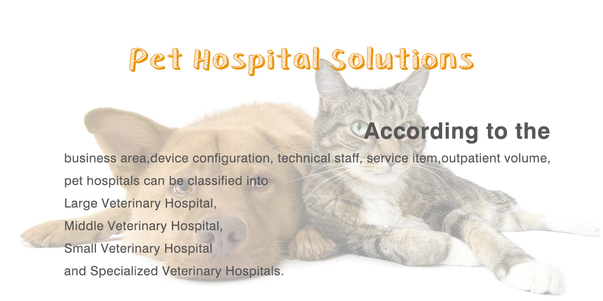 solutions veterinary hospital
