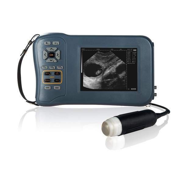 Handheld Veterinary Ultrasound 