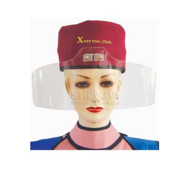 X-Ray Lead Mask