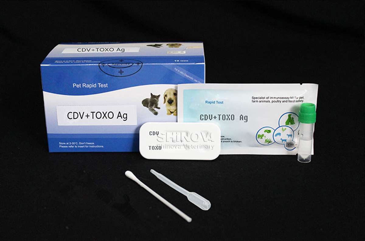CDV+Toxo Ag Combined Rapid Test
