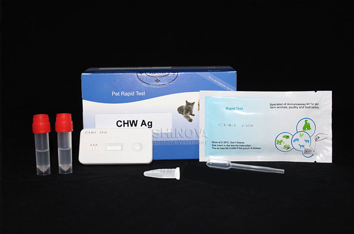 CHW Ag Rapid Test