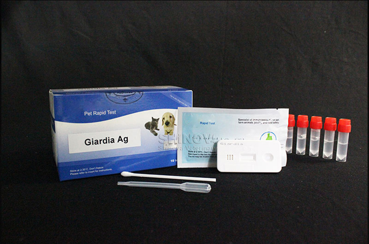 Giardia Ag Rapid Test Shinova VetVeterinary EndoscopeVeterinary