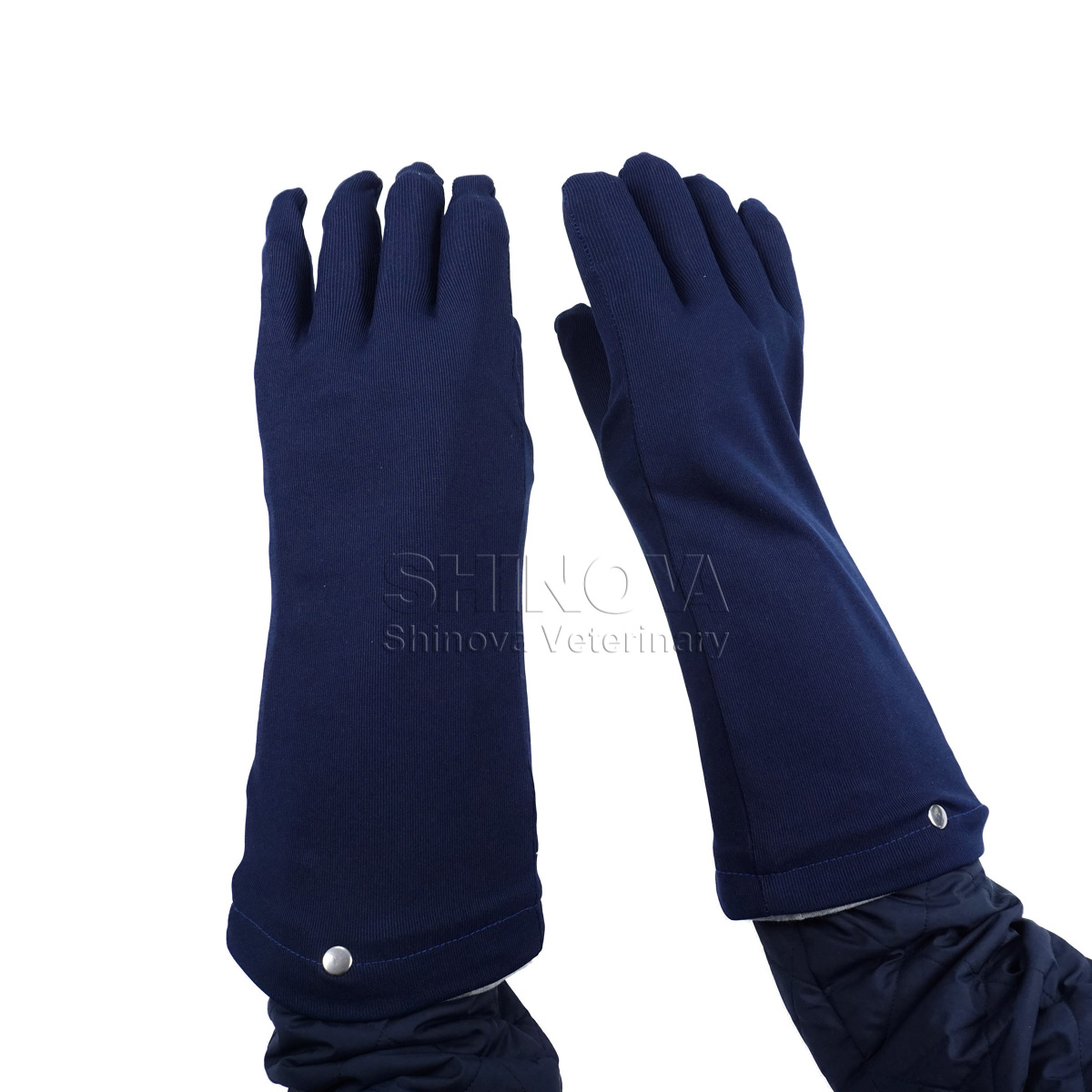 Lead Gloves Shinova VetVeterinary EndoscopeVeterinary Monitor