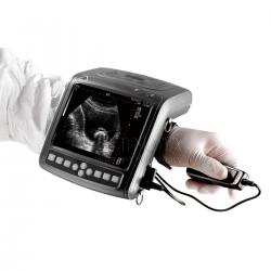 Wrist Veterinary Ultrasound