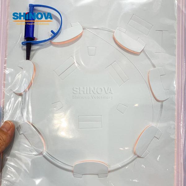 Portable Surgery Diode Laser System Diode Laser Therapy