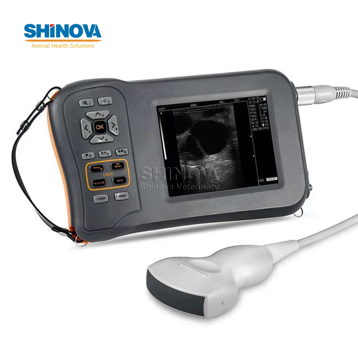 Handheld Veterinary Ultrasound