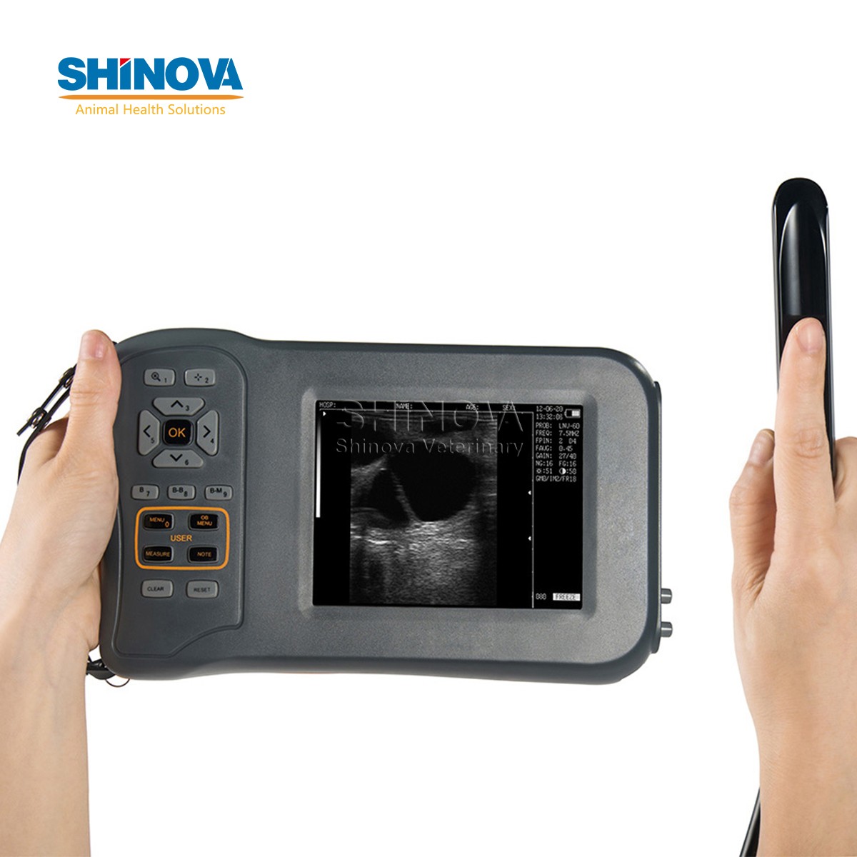 Handheld Veterinary Ultrasound