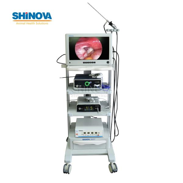22-inch Mobile High-definition Endoscopic Imaging System