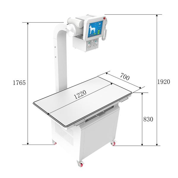 Veterinary Digital X-Ray (DR)