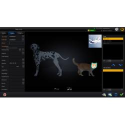Veterinary Digital X-Ray (DR)