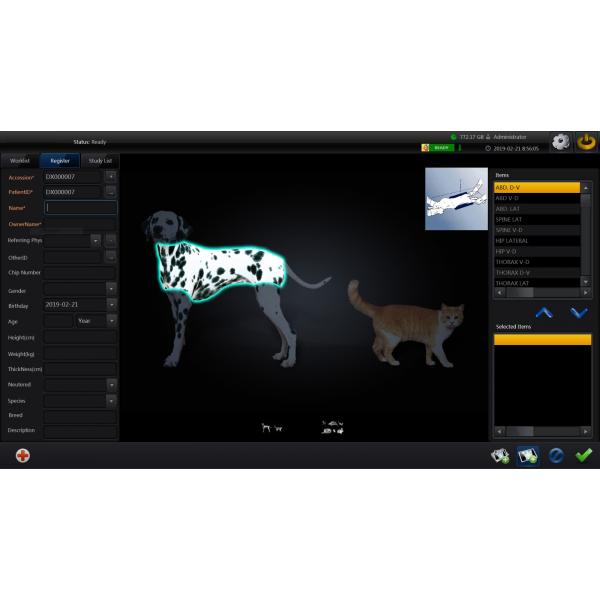 Veterinary Digital X-Ray (DR)