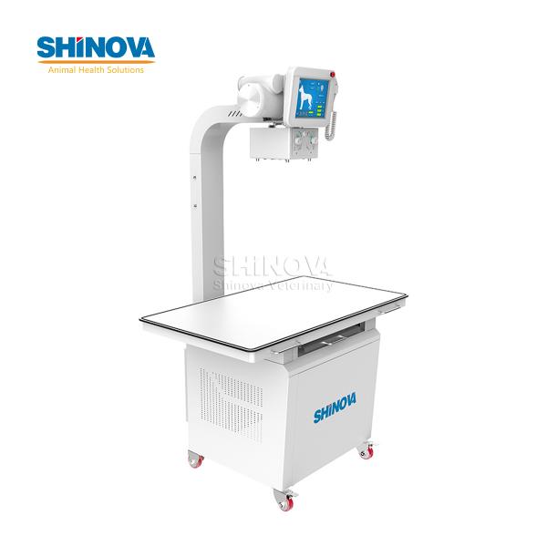 Veterinary Digital X-Ray (DR)