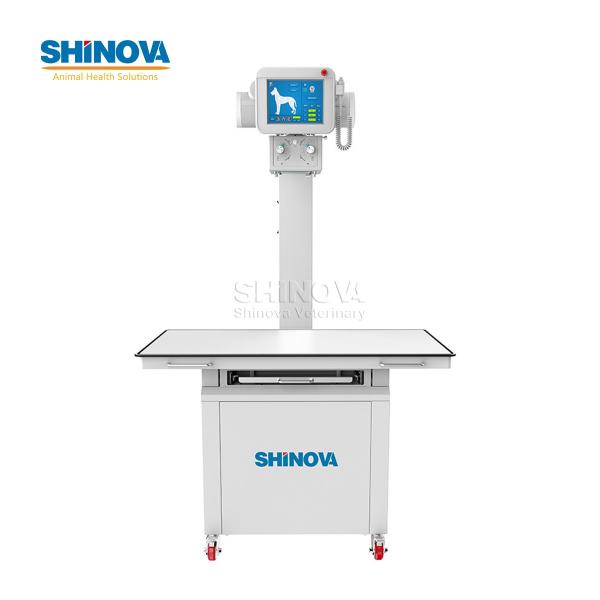 Veterinary Digital X-Ray (DR)