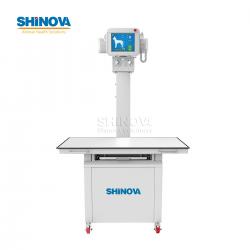 Veterinary Digital X-Ray (DR)